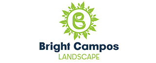 Bright Campos Landscape